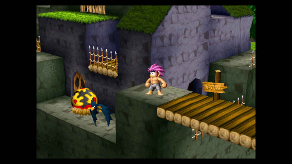 2.5D Tomba!