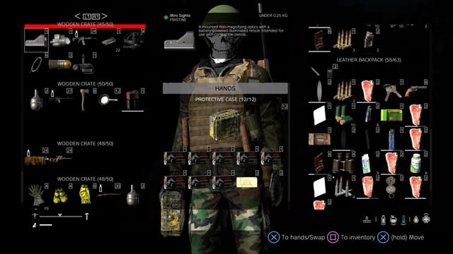 DayZ Extraction Shooter Inventory